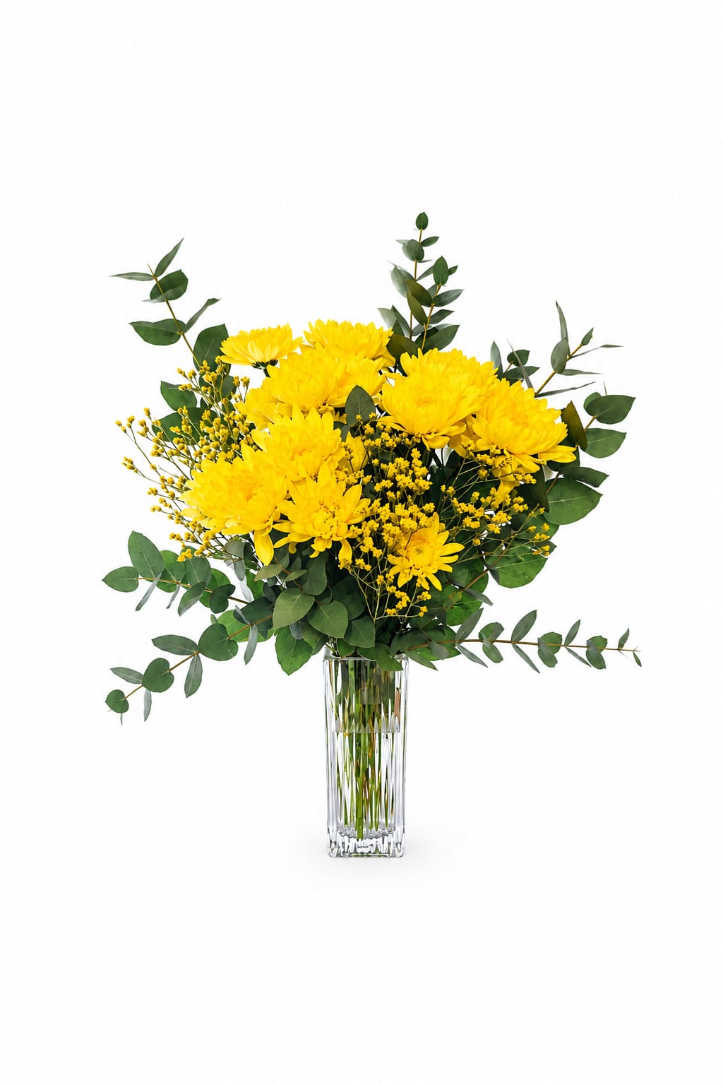 Ramo Primavera