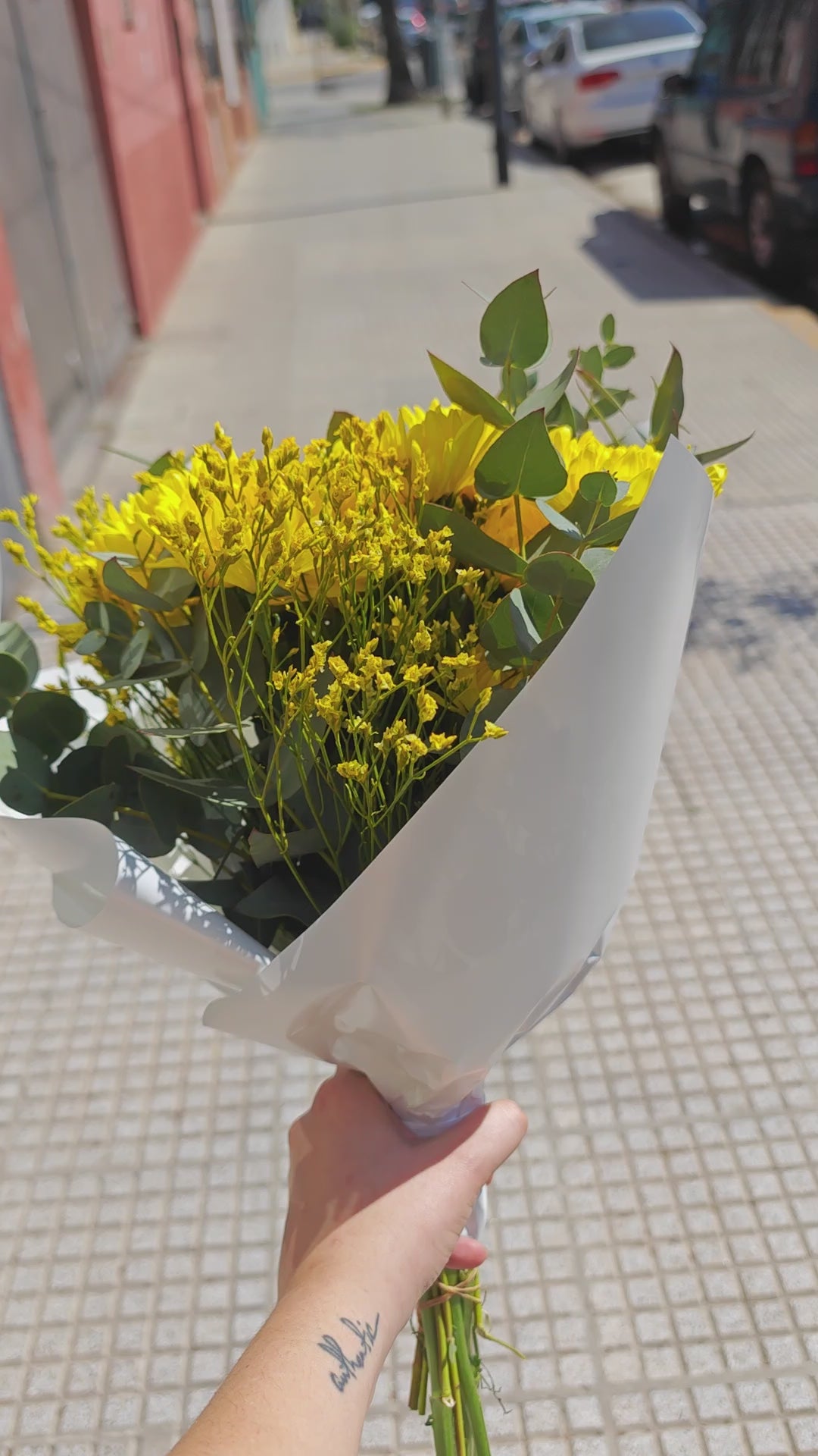 Ramo Primavera